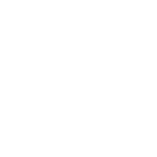 University and Program Selection